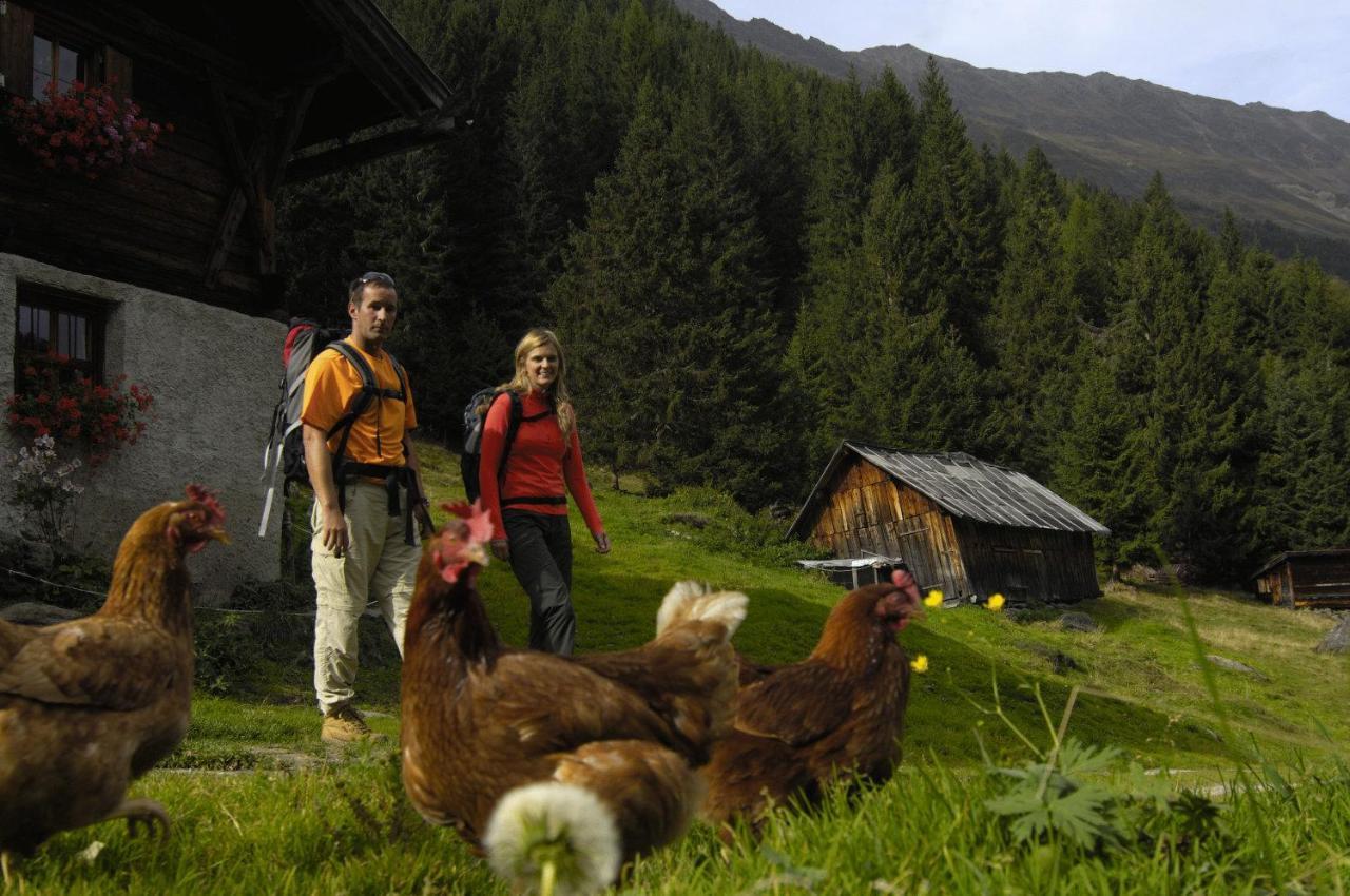 Appartement Aparthaus Camping Stubai à Neustift im Stubaital Extérieur photo